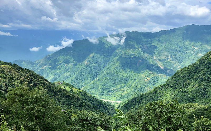 The foothills of the Himalayan mountains are lush with vegetation.