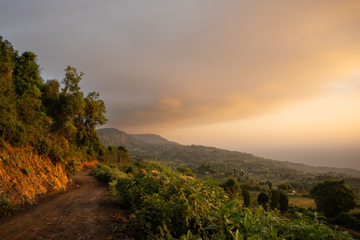 Clouds blanket the sky over the grassy hills of Rift Valley in Kenya. 