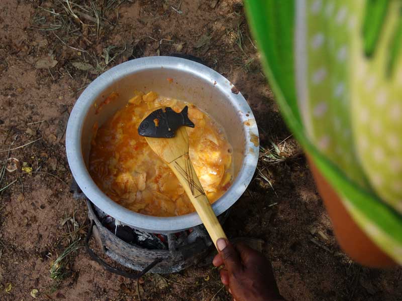 Lucky Iron Fish in cooking pots tackle anemia