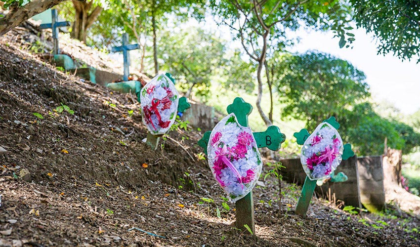 Green crosses with bags of white and pink flowers attached arranged on a hill with trees.